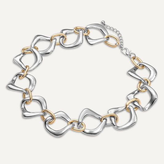 Gold & Silver Tone Clasp Necklace