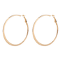 Gold hook Earrings