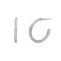 Rhodium Silver & Clear hoop Earrings
