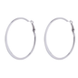 Rhodium Silver Hook Earrings