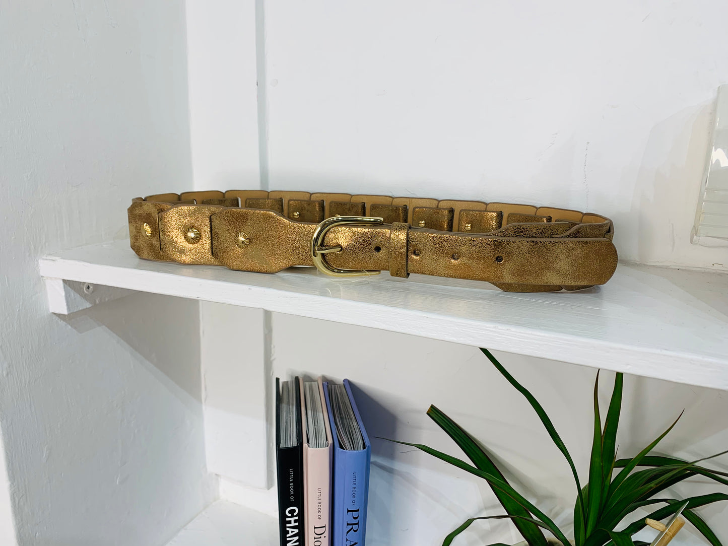 Western Belt
